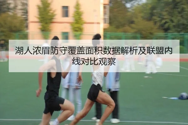 湖人浓眉防守覆盖面积数据解析及联盟内线对比观察