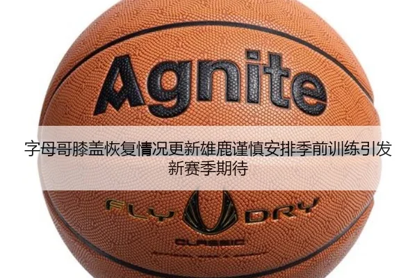 img_1783373260415_3805_1_351.jpg