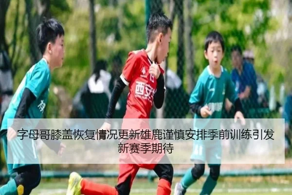 字母哥膝盖恢复情况更新雄鹿谨慎安排季前训练引发新赛季期待